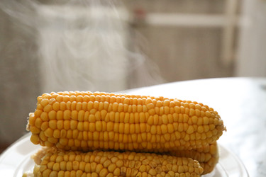 Similar image 22628103