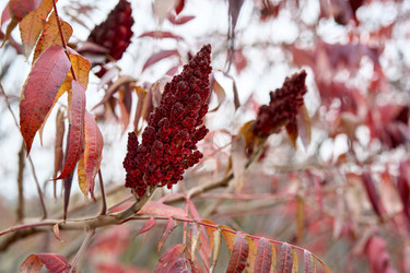 Similar image 22636598