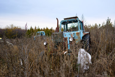 Similar image 22636600