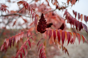 Similar image 22636601