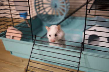 Similar image 22636603