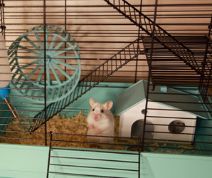 Similar image 22636604