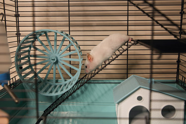 Similar image 22636605