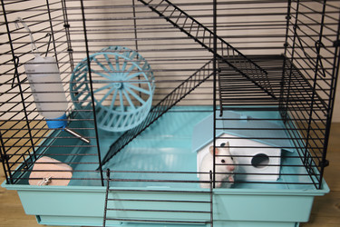 Similar image 22636612