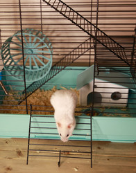 Similar image 22636617