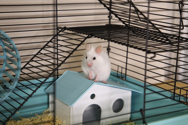 Similar image 22636618