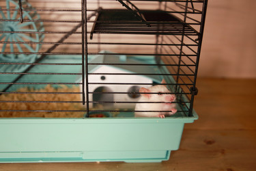 Similar image 22636619