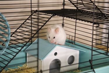 Similar image 22636621