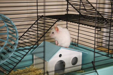 Similar image 22636624