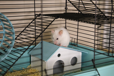 Similar image 22636625