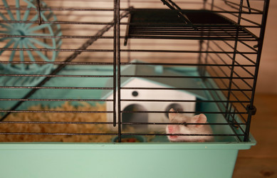 Similar image 22636627