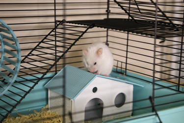 Similar image 22636631