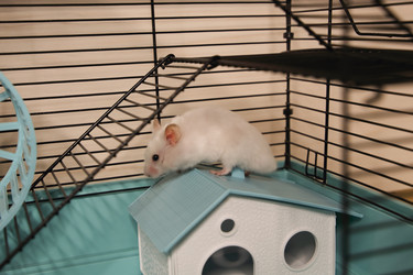 Similar image 22636632