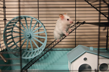 Similar image 22636637