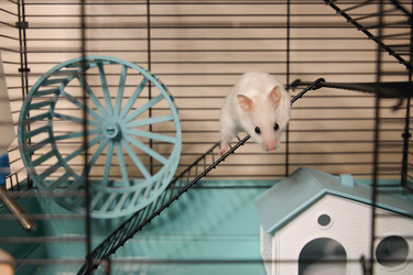 Similar image 22636639