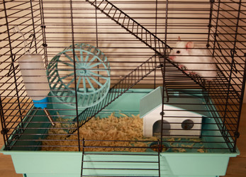 Similar image 22636641