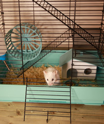 Similar image 22636642