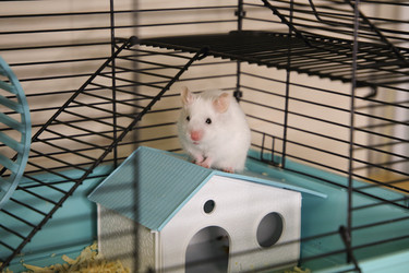 Similar image 22636646