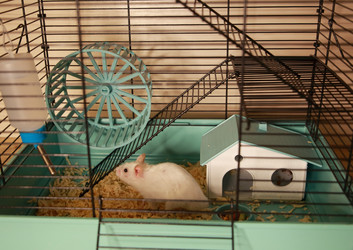 Similar image 22636647