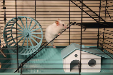 Similar image 22636649