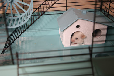 Similar image 22636650