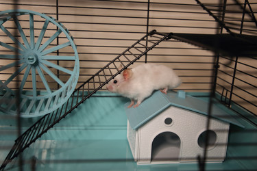 Similar image 22636652