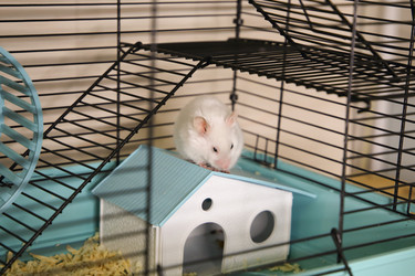 Similar image 22636654