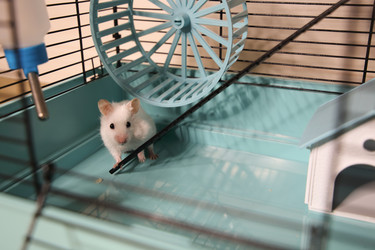 Similar image 22636583