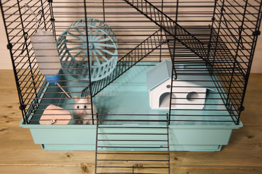 Similar image 22636606