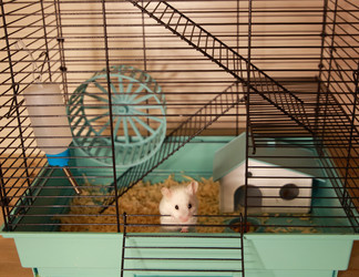 Similar image 22636608