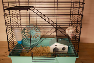 Similar image 22636610