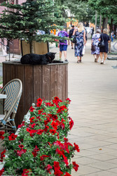 Similar image 22632303