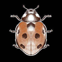 Similar image 22631786