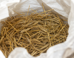 Similar image 22631835