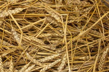 Similar image 22631836