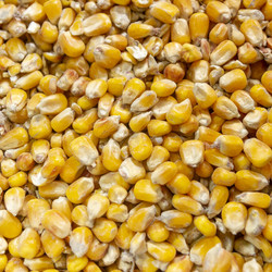 Similar image 22631838