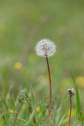 Similar image 22641844