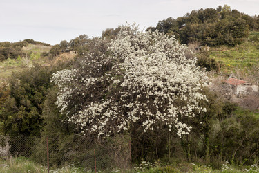 Similar image 22632264