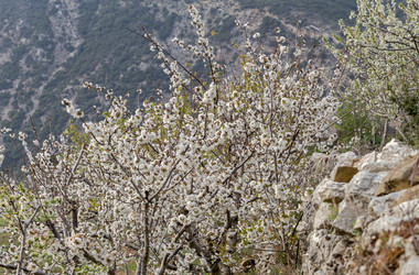 Similar image 22632265