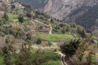 Similar image 22641845
