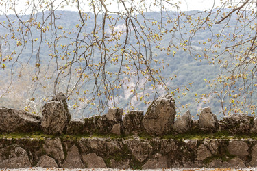 Similar image 22632266