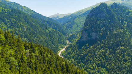 Similar image 22632077