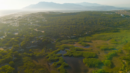 Similar image 22632623