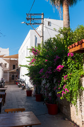 Similar image 22632654