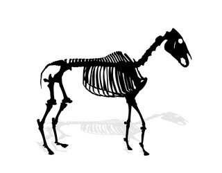 Similar image 22631839