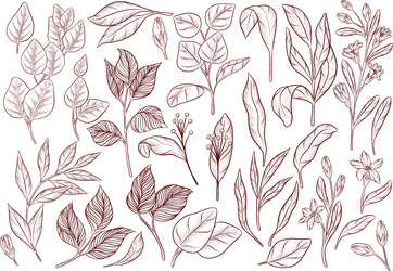 Similar image 22633511