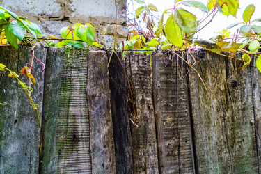 Similar image 22641171