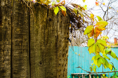 Similar image 22641188