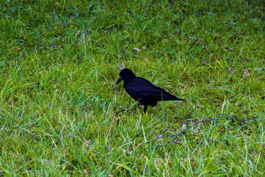 Similar image 22641941