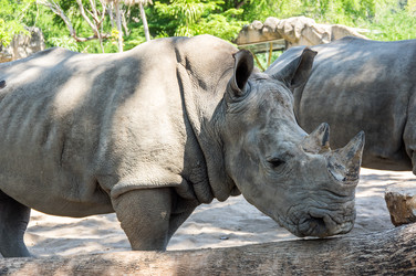 Similar image 22632883